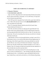 Đồ án môn học chiến lược marketing của heineken