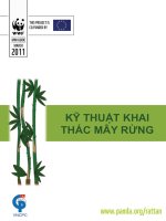 Kỹ thuật khai thác mây rừng 