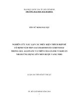 Nghiên cứu xác lập các điều kiện thích hợp để cố định nấm men saccharoyces cerevisiae trong gel alginate và trên cellulose vi khuẩn nhằm ứng dụng lên men rượu vang nho 