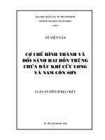 Cơ chế hình thành và đối sánh hai bồn trũng chứa dầu khí cửu long và nam côn sơn 