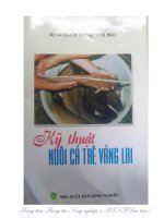 Kỹ thuật nuôi cá trê vàng lai 