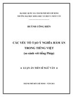 Các yếu tố tạo ý nghĩa hàm ẩn trong tiếng việt 