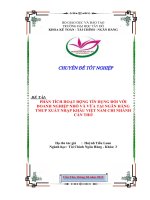 PHÂN TÍCH HOẠT ĐỘNG TÍN DỤNG ĐỐI VỚI DOANH NGHIỆP NHỎ VÀ VỪA TẠI NGÂN HÀNGTMCP XUẤT NHẬP KHẨU VIỆT NAM CHI NHÁNH CẦN THƠ