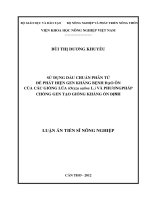 Sử dụng dấu chuẩn phân tử để phát hiện gen kháng bệnh đạo ôn của các giống lúa (oryza sativa l ) và phương pháp chồng gen tạo giống kháng ổn định 
