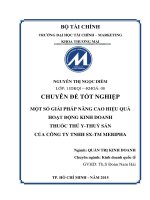 một số giải pháp nâng cao hiệu quả hoạt động kinh doanh thuốc thú y thuỷ sản của công ty tnhh sx tm mebipha