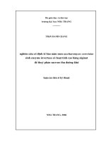 Nghiên cứu cố định tế bào nấm men saccharomyces cerevisiae sinh enzyme invertase có hoạt tính cao bằng alginat để thủy phân sucrose thu đường khử 