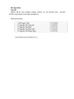 PHÂN TÍCH tài CHÍNH TỔNG CÔNG TY cổ PHẦN BIA   rượu   nước GIẢI KHÁT hà nội (HABECO