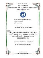 thực trạng và giải pháp thúc đẩy xuất khẩu giày dép của công ty cổ phần giày an lạc sang thị trường eu