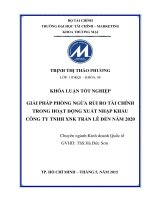 giải pháp phòng ngừa rủi ro tài chính trong hoạt động xuất nhập khẩu công ty tnhh xnk trần lê đến năm 2020