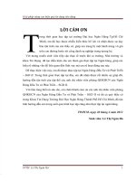 Giải pháp nâng cao hiệu quả cho vay tiêu dùng tại Sở giao dịch II -BIDV