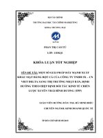 một số giải pháp đẩy mạnh xuất khẩu mặt hàng bột cá của công ty tnhh sx – cn viet delta sang thị trường nhật bản, định hướng theo hiệp định đối tác kinh tế chiến lược xuyên thái bình dương (tpp)