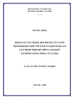 Khảo sát tác động đối kháng của nấm trichoderma đối với nấm fusarium solani gây bệnh thối rễ trên cam quít tại đồng bằng sông cửu long 