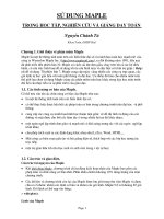 sử dụng maple trong nghiên cứu giảng dạy và học môn toán