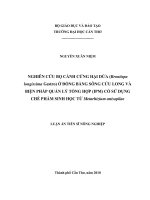Nghiên cứu bọ cánh cứng hại dừa (brontispa longissima gestro) ở đồng bằng sông cửu long và biện pháp quản lý tổng hợp (IPM) có sử dụng chế phẩm sinh học từ metarhizium anisopliae 