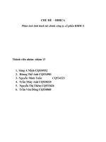 Phân tích tình hình tài chính công ty cổ phần BIBICA