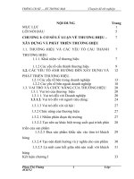 Các biện pháp xây dựng và phát triển thương hiệu của công ty cổ phần tập đoàn tt