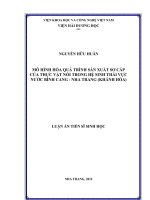 Mô hình hóa quá trình sản xuất sơ cấp của thực vật nổi trong hệ sinh thái vực nước bình cang   nha trang (khánh hòa) 