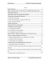 THỰC TRẠNG nạn HÀNG GIẢ tại VIỆT NAM