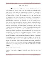 Giải pháp nhằm hoàn thiện hệ thống kênh phân phối tại công ty cổ phần đầu tư và phát triển tân á đại thành