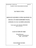 Khảo sát giải phẫu cuống mạch đầu xa đảo da cân thần kinh hiển ngoài, áp dụng và cải tiến lâm sàng 