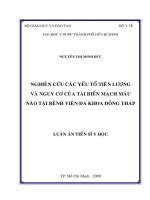 Nghiên cứu các yếu tố tiên lượng và nguy cơ của tai biến mạch máu não tại bệnh viện đa khoa đồng tháp 