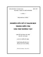 Nghiên cứu xử lý hạch bẹn trong điều trị ung thư dương vật 