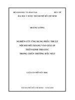 Nghiên cứu ứng dụng phẫu thuật nội soi mũi xoang vào giải áp thần kinh thị giác trong chấn thương đầu mặt 