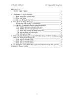 CÁC NHÂN TỐ ẢNH HƯỞNG ĐẾN TỶ GIÁ HỐI ĐOÁI Ở VIỆT NAM VÀ NHỮNG DIỄN BIẾN CỦA NÓ TỪ NĂM 2008 ĐẾN THÁNG 10/2010