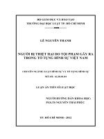 Người bị thiệt hại do tội phạm gây ra trong tố tụng hình sự việt nam 