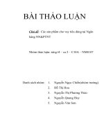 Các sản phẩm cho vay tiêu dùng tại Ngân hàng NN&PTNT