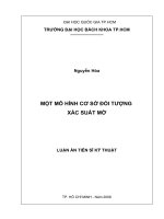 Một mô hình cơ sở đối tượng xác suất mờ 
