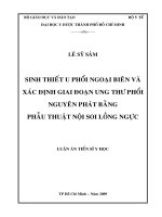 Sinh thiết u phổi ngoại biên và xác định giai đoạn ung thư phổi nguyên phát bằng phẫu thuật nội soi lồng ngực 