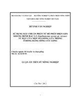 Sử dụng dấu chuẩn phân tử để phát hiện gen kháng bệnh bạc lá (xanthomonas oryzae pv  oryzae) từ hạt của một số giống lúa trồng ở đồng bằng sông cửu long 