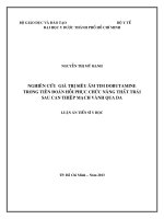 Nghiên cứu giá trị siêu âm tim dobutamine trong tiên đoán hồi phục chức năng thất trái sau can thiệp mạch vành qua da 