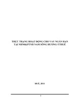 THỰC TRẠNG HOẠT ĐỘNG CHO VAY NGẮN HẠN TẠI NHN0& PTNH NAM SÔNG HƯƠNG-TTHUẾ