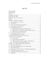 Nghiên cứu chuyển gen tạo protein tái tổ hợp HIV 1 p24 vào lục lạp cây cà chua (lycopersicon esculentum mill ) 