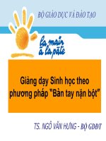 Tài liệu về phương pháp bàn tay nặn bột môn sinh học THCS