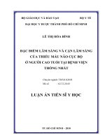 Đặc điểm lâm sàng và cận lâm sàng của thiếu máu não cục bộ ở người cao tuổi tại bệnh viện thống nhất 