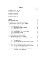 Tổng hợp dẫn xuất của flavonoid (rutin, quercetin, hesperidin, hesperetin) và xác định hoạt tính sinh học của chúng 