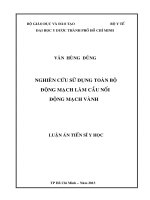 Nghiên cứu sử dụng toàn bộ động mạch làm cầu nối động mạch vành 