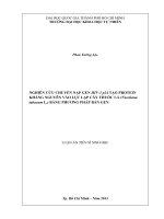 Nghiên cứu chuyển nạp gen HIV 1 p24 tạo protein kháng nguyên vào lục lạp cây thuốc lá (nicotiana tabacum l ) bằng phương pháp bắn gen 