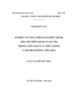 Nghiên cứu đặc điểm giải phẫu bệnh, hóa mô miễn dịch có giá trị trong chẩn đoán và tiên lượng u mô đệm đường tiêu hóa 