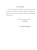 Nghiên cứu một số giải pháp kỹ thuật để tăng khả năng sản xuất đàn bò sữa holstein friesian nhập từ úc nuôi ở thành phố hồ chí minh 