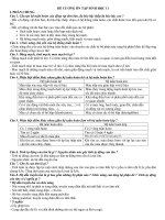 ĐỀ CƯƠNG ôn tập SINH học 11 
