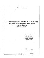 Xây dựng nội dung phương pháp giáo dục  trẻ chậm phát triển tinh thần ở lớp dự bị hòa nhập