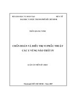 Chẩn đoán và điều trị vi phẫu thuật các u vùng não thất IV 