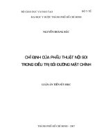 Chỉ định của phẫu thuật nội soi trong điều trị sỏi đường mật chính 