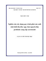 Nghiên cứu xây dựng quy trình pilot sản xuất sinh khối bacillus spp  làm nguyên liệu probiotic cung cấp carotenoid 