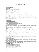 PHÁC ĐỒ ĐIỀU TRỊ NGOẠI KHOA - VIÊM TỤY CẤP