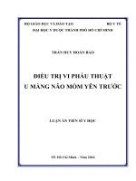 Điều trị vi phẫu thuật u màng não mỏm yên bướm trước (FULL TEXT)